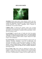 ERVAS DE OSSÃE.pdf